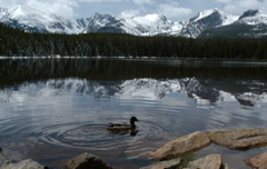 DSC_6887