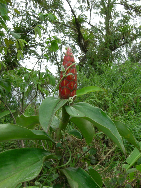 DSCN0138