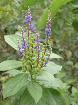 DSCN0134