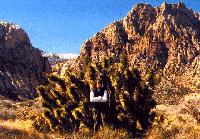 first creek canyon